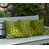 Chartreuse