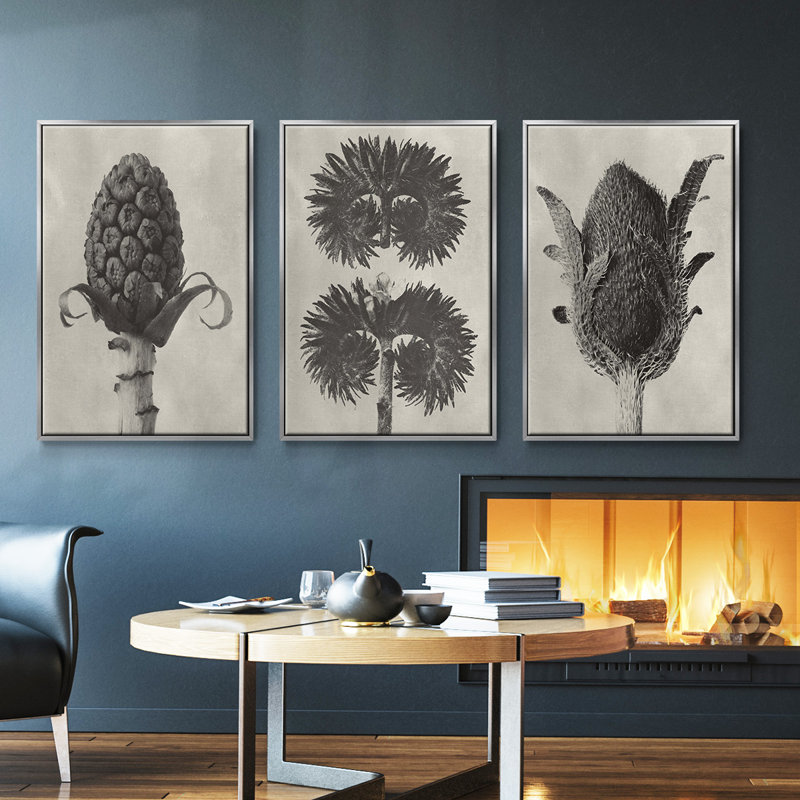 Blossfeldt Botanical IV 3 pièces, H 36 po x l 72 po, Argent