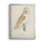 Toile encadrée de qualité supérieure Barn Owl - prête à être accrochée-1084533014-1084533013