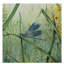 'Botanical Beauties 1' Graphic Art Print on Wrapped Canvas-30356783