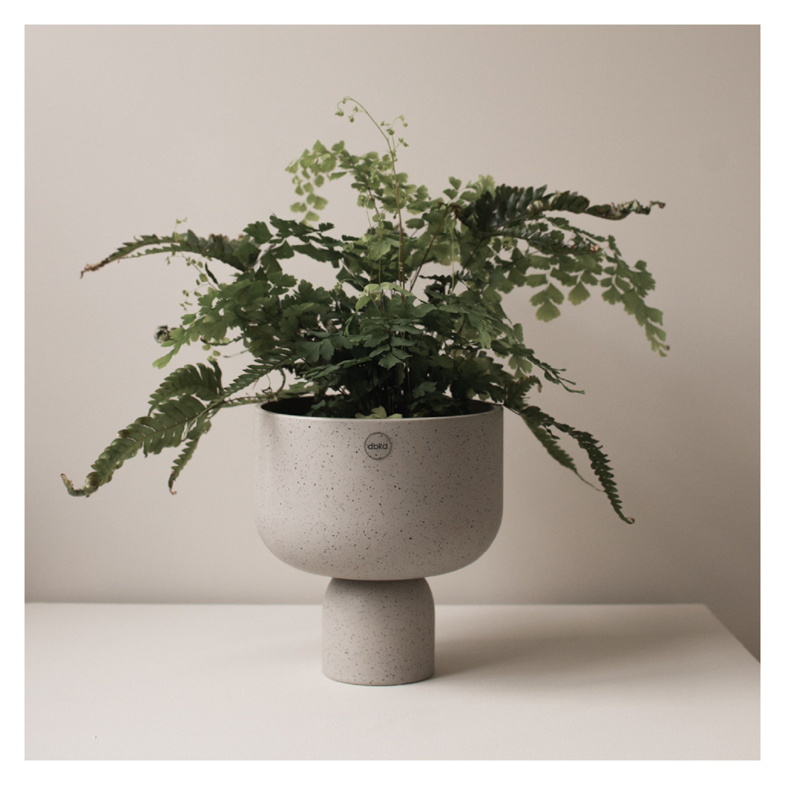 7.87'' Ceramic / Porcelain Table Vase, Greige, 7.87" H x 7.09" W x 7.09" D