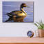 «Lone Pintail» par Mark Mueller, art animalier-101650932