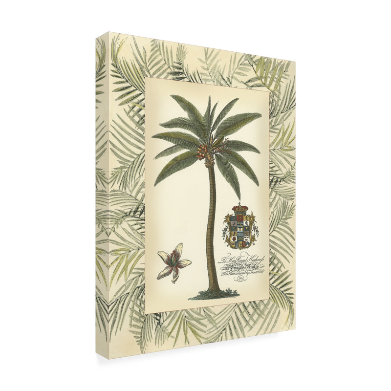 Toile d'extérieur «Palm in Bamboo Frame I» Ovia Vision Studio, H 32 po x l 24 po x P 1,5 po