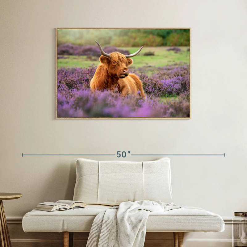 Highland Cow Paradise, Cadre flottant en bois naturel, 40 po x 27 po