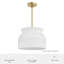 Luminaire suspendu 1 lumière Hunter x Jasmine Roth Harlowe
