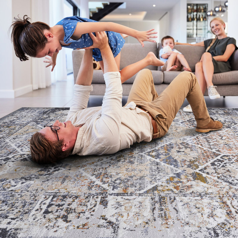 5x7 Non-shedding Area Rug - Stain , Perfect For Bedroom, Living Room, Dining Room Matches Style, Rectangle 5' x 7'