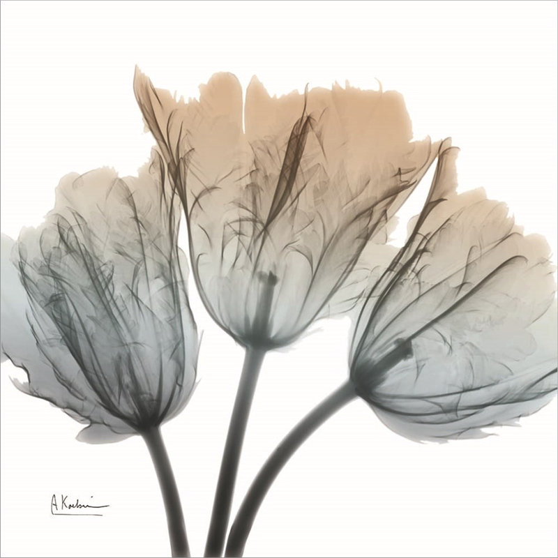 Décoration murale tulipes terreuses