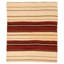 Afghan Hand Woven Wool Striped Area Rug