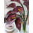 Violet Plum Calla Lily Arrangement