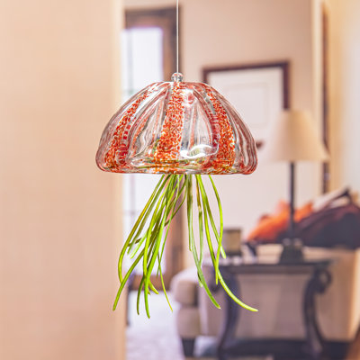 Ruary Glass Terrarium