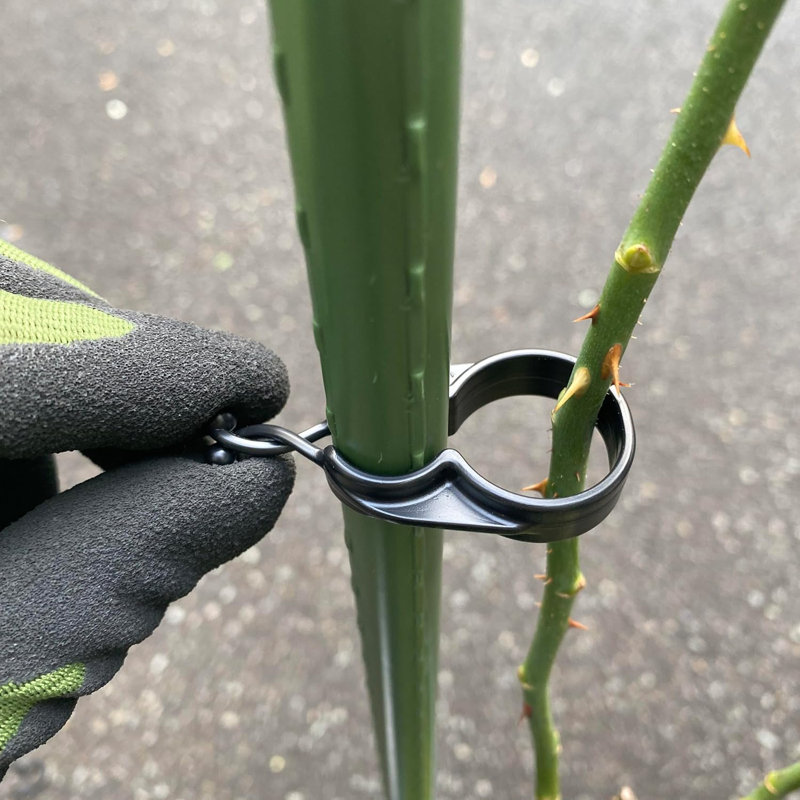 Plant Stand