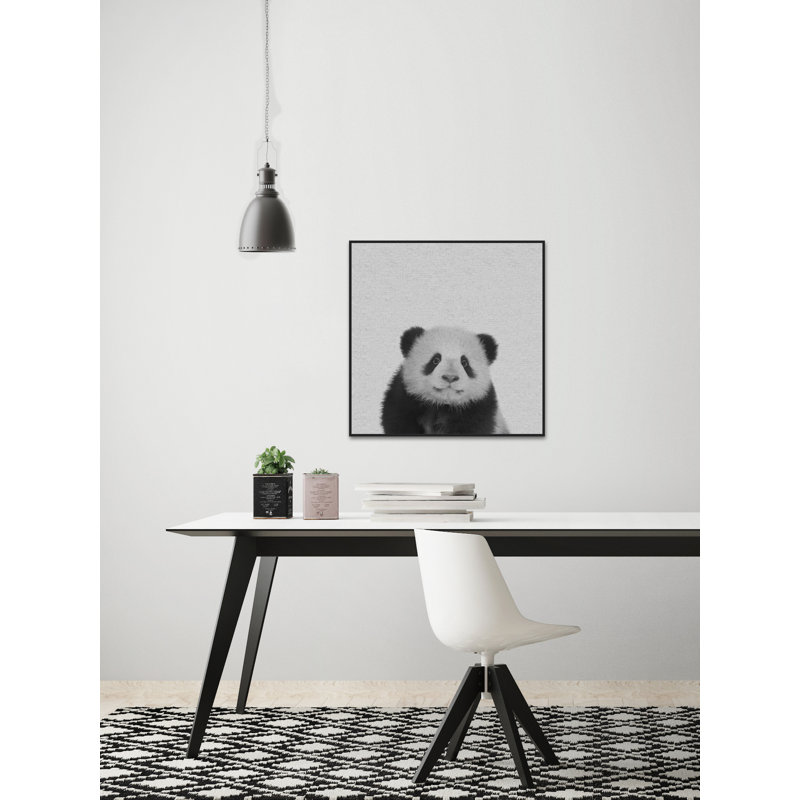 Fluffy Panda II by Marmont Hill - Floater Frame Print on Canvas, 51 cm H x 51 cm W x 4 cm D
