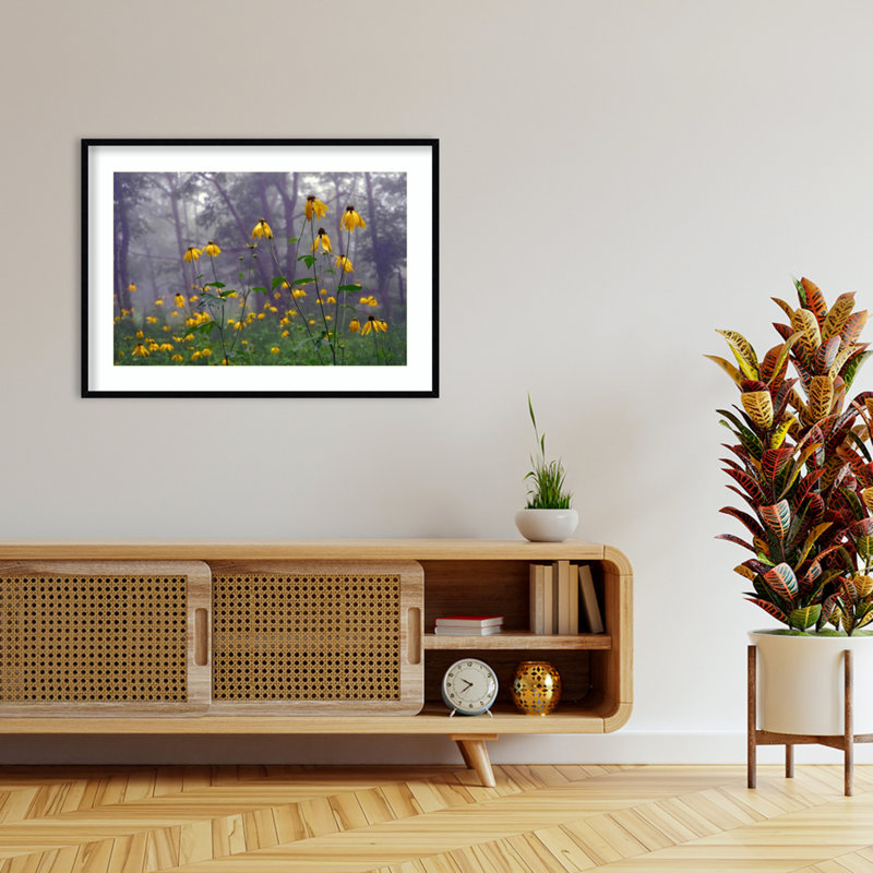 Reproduction d'art encadrée «Coneflower» par Kelly Sinclair