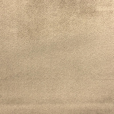 Shiny Solid Velvet | Gian Fabric