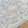 Alayo Machine Woven Area Rug
