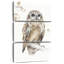 Brampt A Woodland Walk 8-108524662