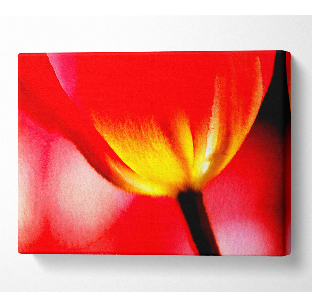 Die Energie einer Tulpe - Kunstdrucke auf Leinwand