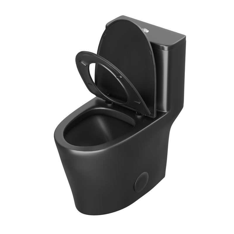 17.3＂Modern One-Piece Toilet with Powerful Dual Flush, Elongated Skirted Bathroom Toilet, Map 1000g, Black