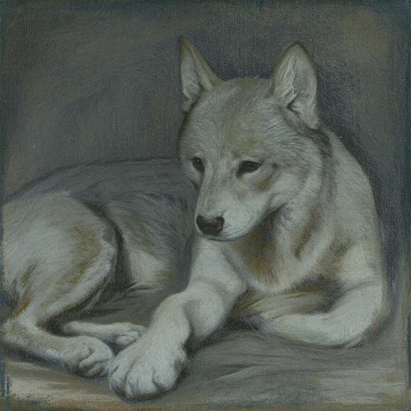 Quiet Gaze