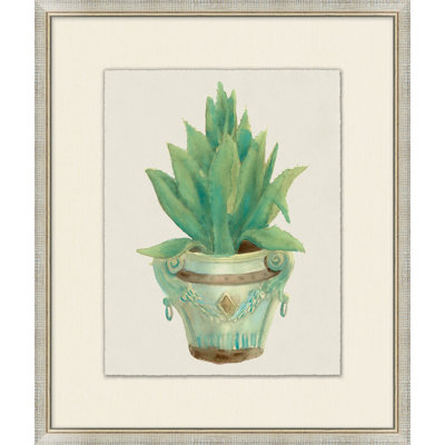 Aloe Pot 5 Print