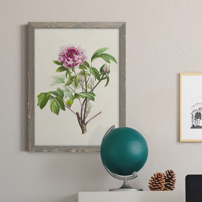 «Pretty Pink Botanicals V», reproduction sur toile encadrée, Cadre gris, H 20 po x l 24 po x P 1 po