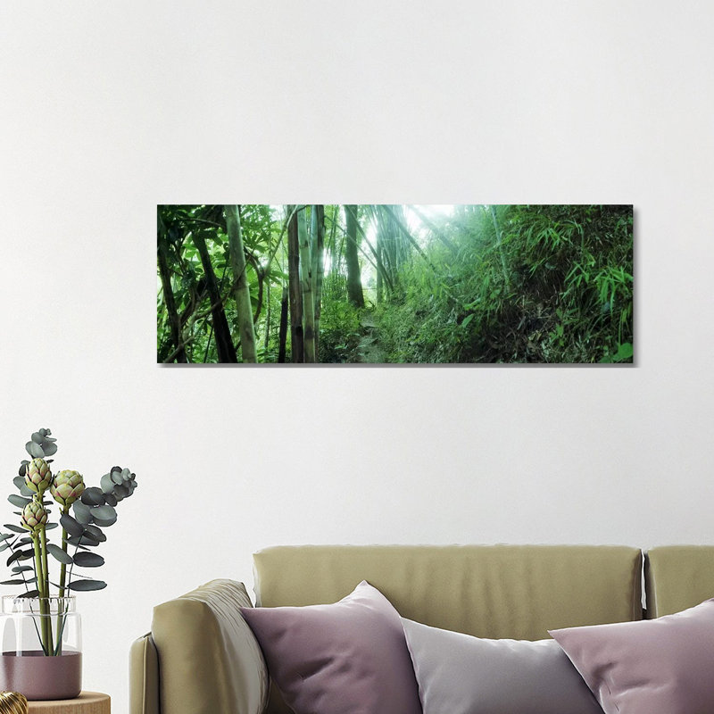 Bamboo Forest, Chiang Mai, Thailand - Wrapped Canvas Panoramic Print, 121.92 cm H x 40.64 cm W x 1.91 cm D