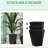Planters With Drainage, 18", 15.59", 11.75", Of 3 For Outdoor & Indoor, Garden Patio Balcony Front Door, Black Stackable Pots, Drainage Holes Garden, Patio, Balcony, Flower Pots