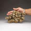 Arsenopyrite