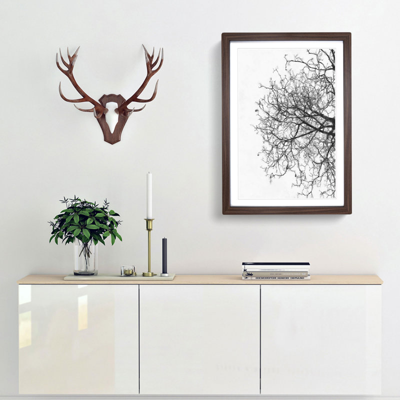 Bare Tree - Picture Frame Graphic Art Print, 45cm H x 33cm W x 2cm D, Walnut Framed