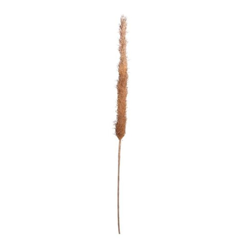 52 " H Faux Pampas Grass