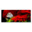 Parrot Pose Print-59120987