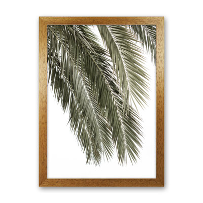 Palms by Victoria Frost - Print
