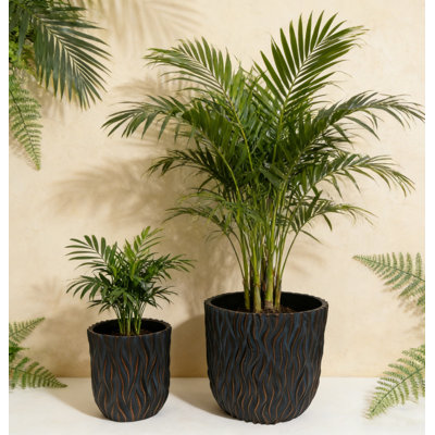 Grandes jardinières rondes, ensemble de 2 (15,75 po x 14,96 po et 12,2 po x 13,39 po) - Pot léger en oxyde de magnésium avec texture - Pots à fleurs en béton avec trou de drainage - Utilisation intérieure et extérieure