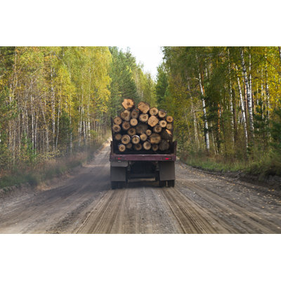 Truck by Ohotnik - Wrapped Canvas Print
