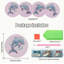 Set of 4 5D Diamond Painting Dolphin Coasters DIY Diamond Coasters Kit