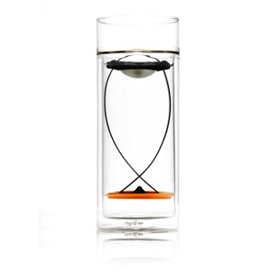 Joefish Glass Mug (Set of 2)