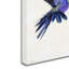 «Humming Bird» par Armand, reproduction sur toile-21649942