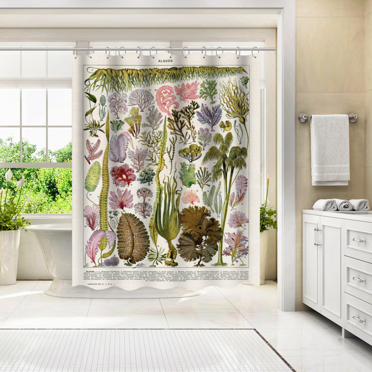 Americanflat 71 x 74 Nature Shower Curtain, Algues Vintage Art Print by  Samantha Ranlet