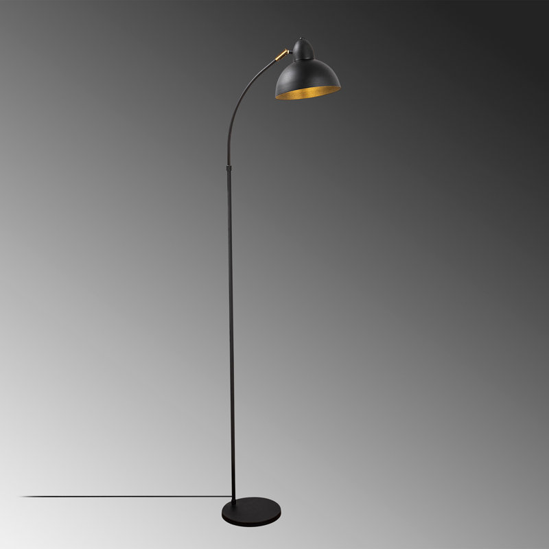 63.78'' Arched Floor Lamp, Black