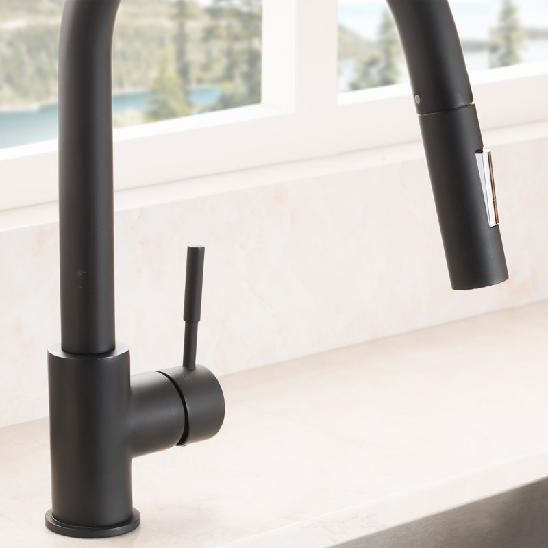 Gemini Single Handle Kitchen Faucet with Side Spray and Accessories, Matte Black