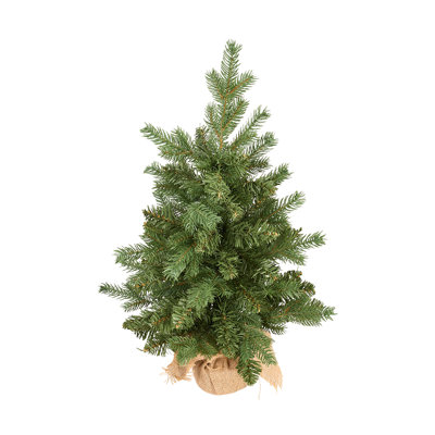 Christmas Tree with String Lights