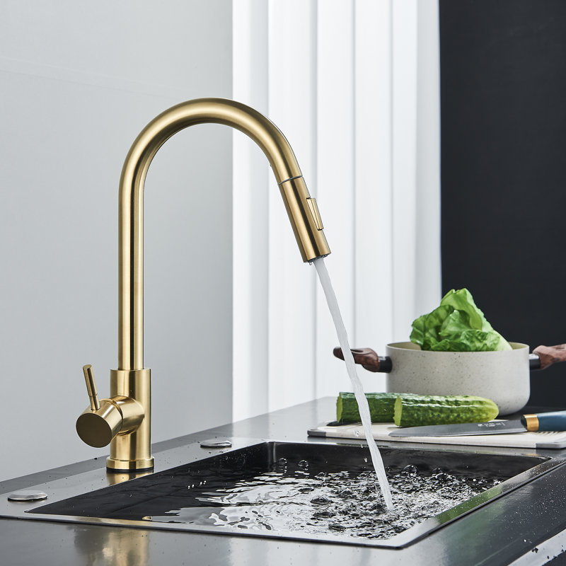 Belfry Kitchen Serita Pull Out Kitchen Faucet