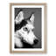 Husky Dog in Abstract - Framed Print-55769210-55769215