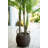 62'' Faux Palm Tree in Basket