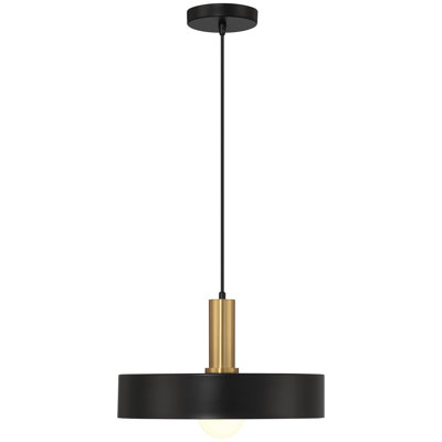 Roree 1 Light Pendant