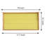 10 pièces Beehive Honey Hive Frame Bee Hives Bee Comb-629403889