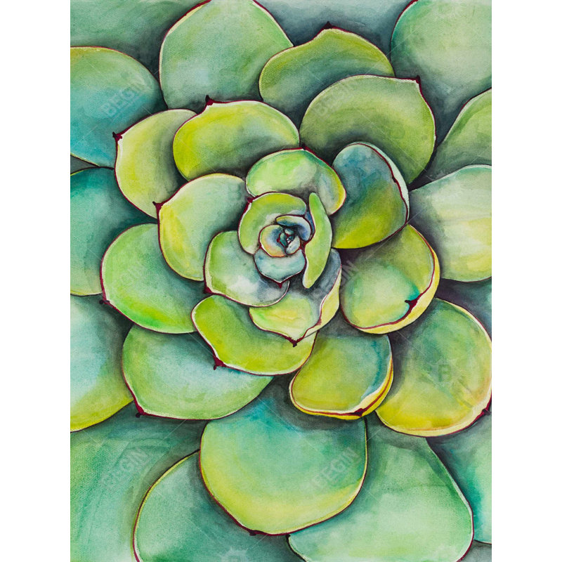 Housse de couette exotique cactus - Succulent aquarelle