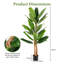 195cm Plant