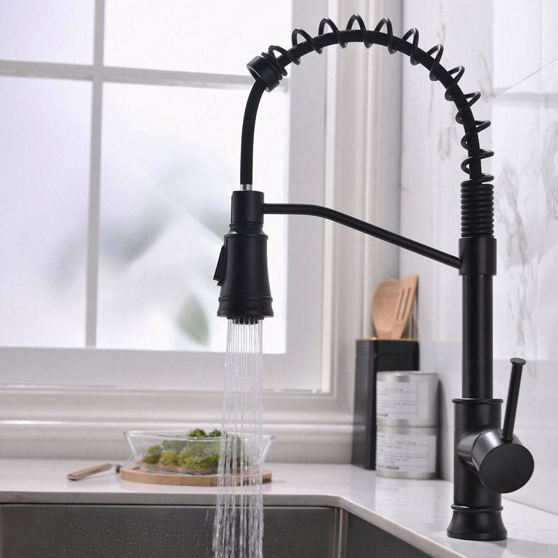 Robinet de cuisine noir en acier inoxydable à poignée simple avec douchette extractible