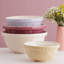 In The Meadow Mixing Bowls - Set Of 4